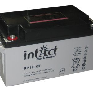 Intact Block-Power 12 V 65Ah (c20) 348x167x178 1/F-M6