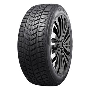 205/45R17 DYNAMO SNOW-H MSL01 88T B C B 70